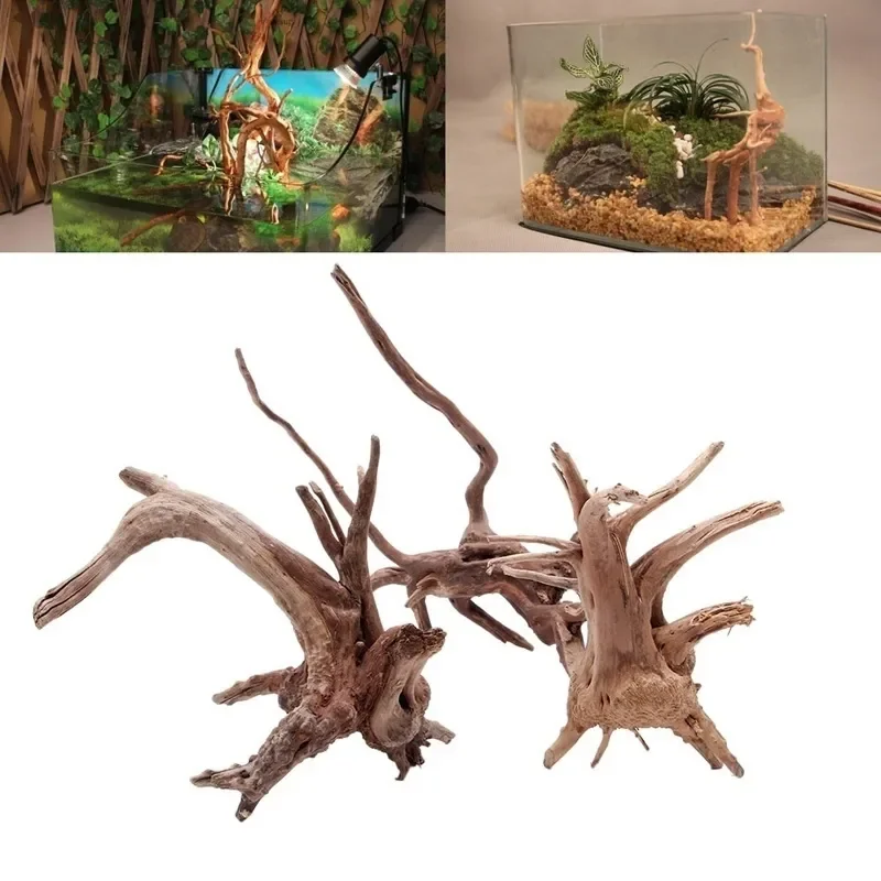 Aquarium Fish For Sale Online - Tronco d'albero naturale Driftwood acquario acquario