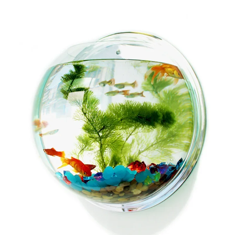 Aquarium Fish Background - Pinsjar Ciotola per pesci in acrilico
