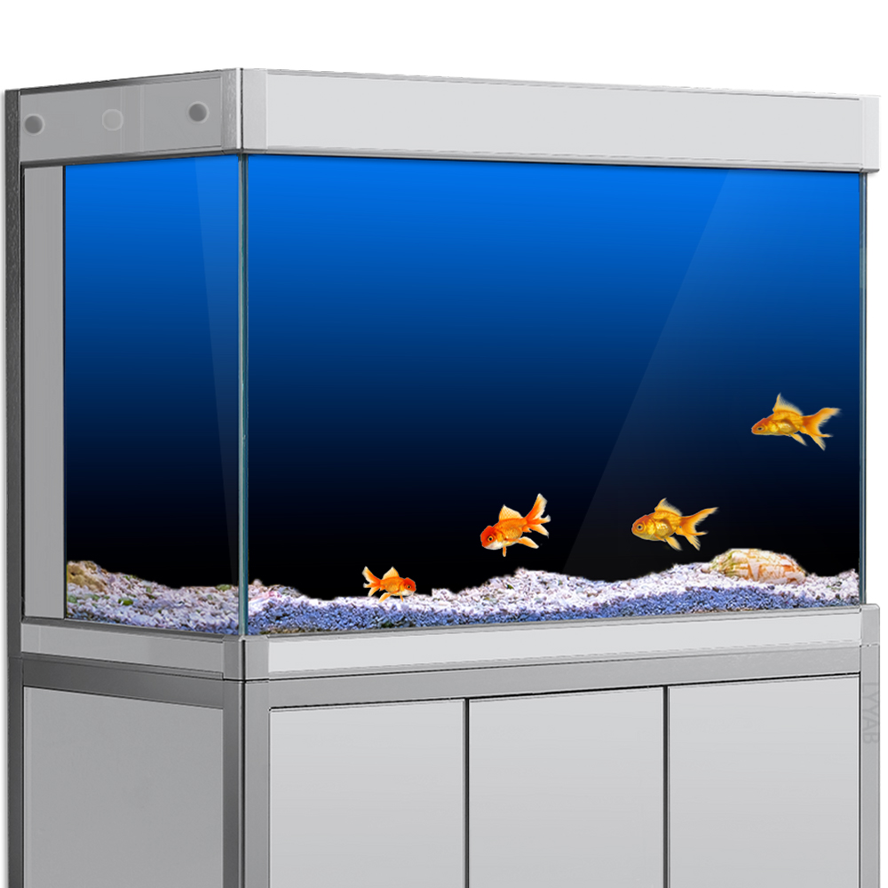 Aquarium Fish Background - Adesivo per sfondo acquario Nero Verde