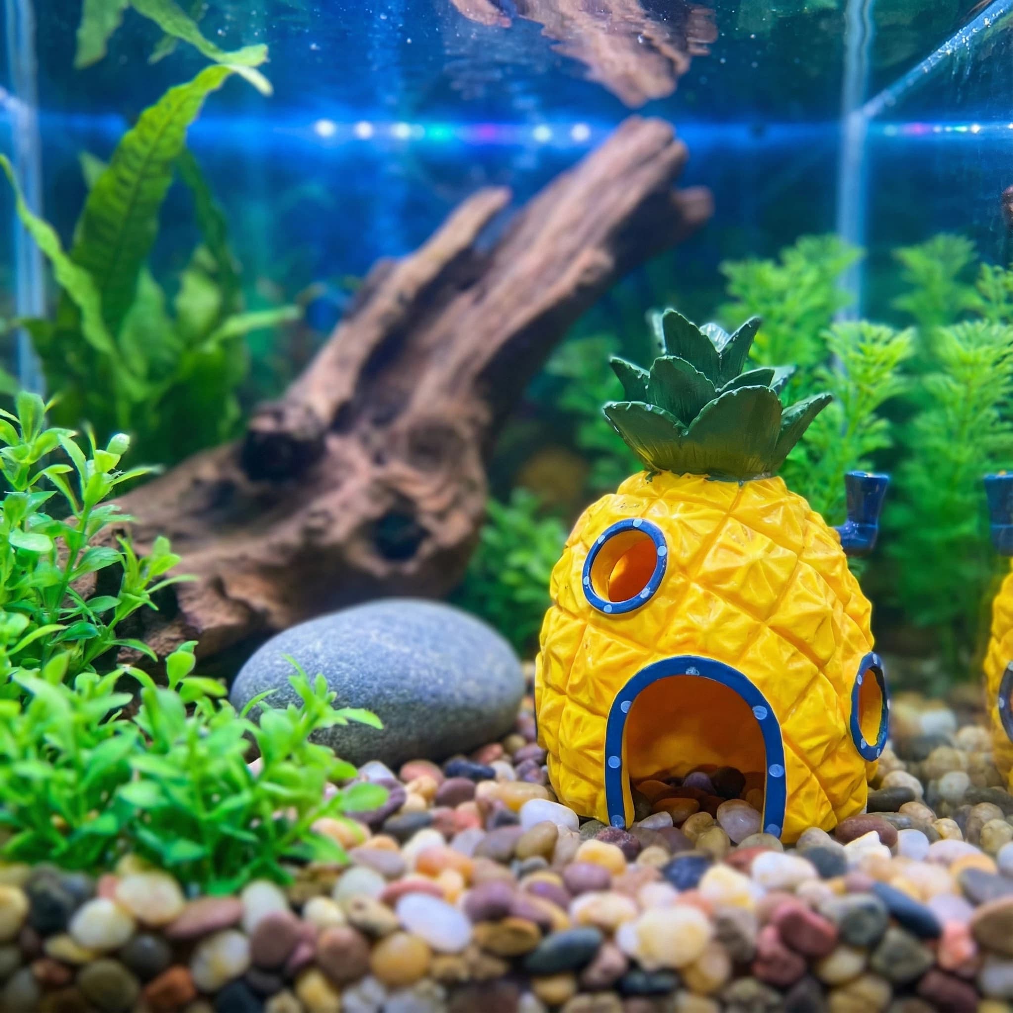 Aquarium Fish Games - Decorazione per acquario Pineapple House, grotta