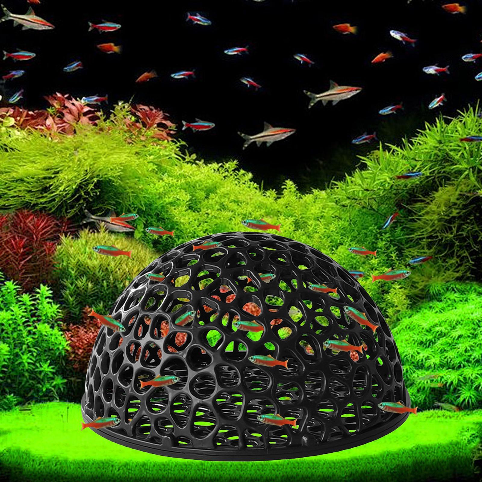 Aquarium Fish Games - Acquario casa di gamberetti Grotta Mini