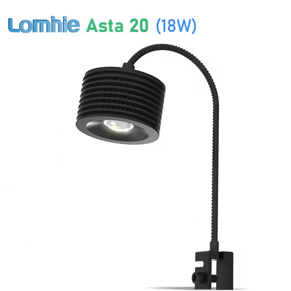 Aquarium Fish Discus - 3 decorazioni luminose per acquari a