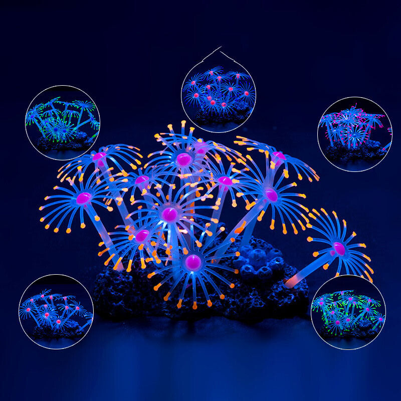 Decorazioni Subacquee in Silic - Aquarium Fish Games recensione e prezzo