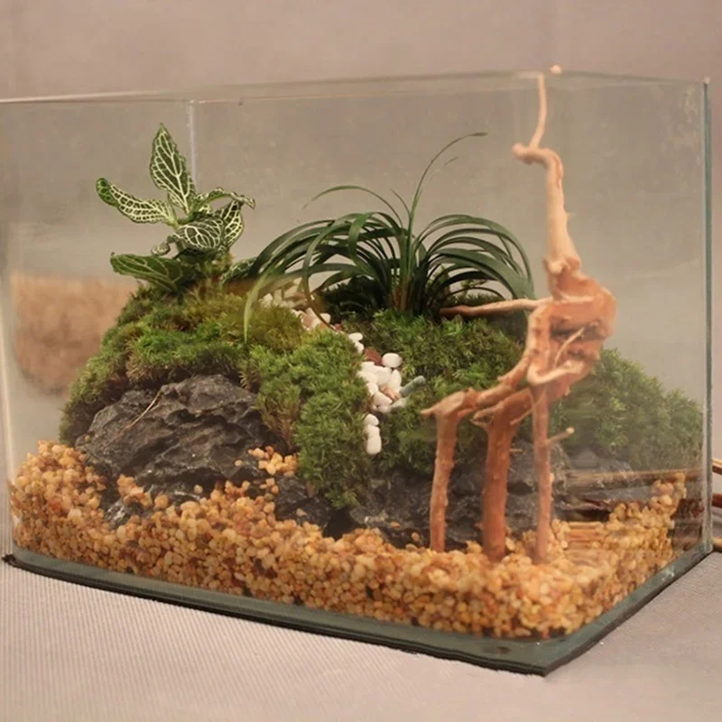 Tronco d'albero naturale Drift - Aquarium Fish For Sale Online recensione e prezzo