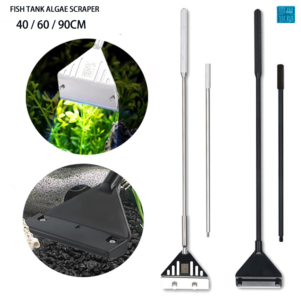 Raschietto in Acciaio Inox per - Algae Scraper Blade recensione e prezzo
