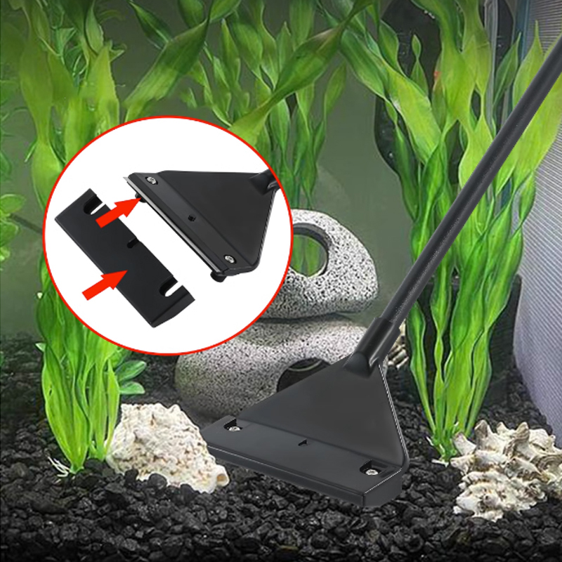 Raschietto in Acciaio Inox per - Algae Scraper Blade recensione e prezzo