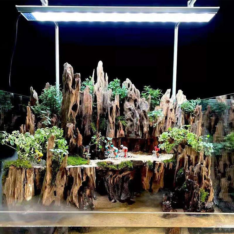 Decorazione per acquario in le - Aquarium Fish For Sale Online recensione e prezzo