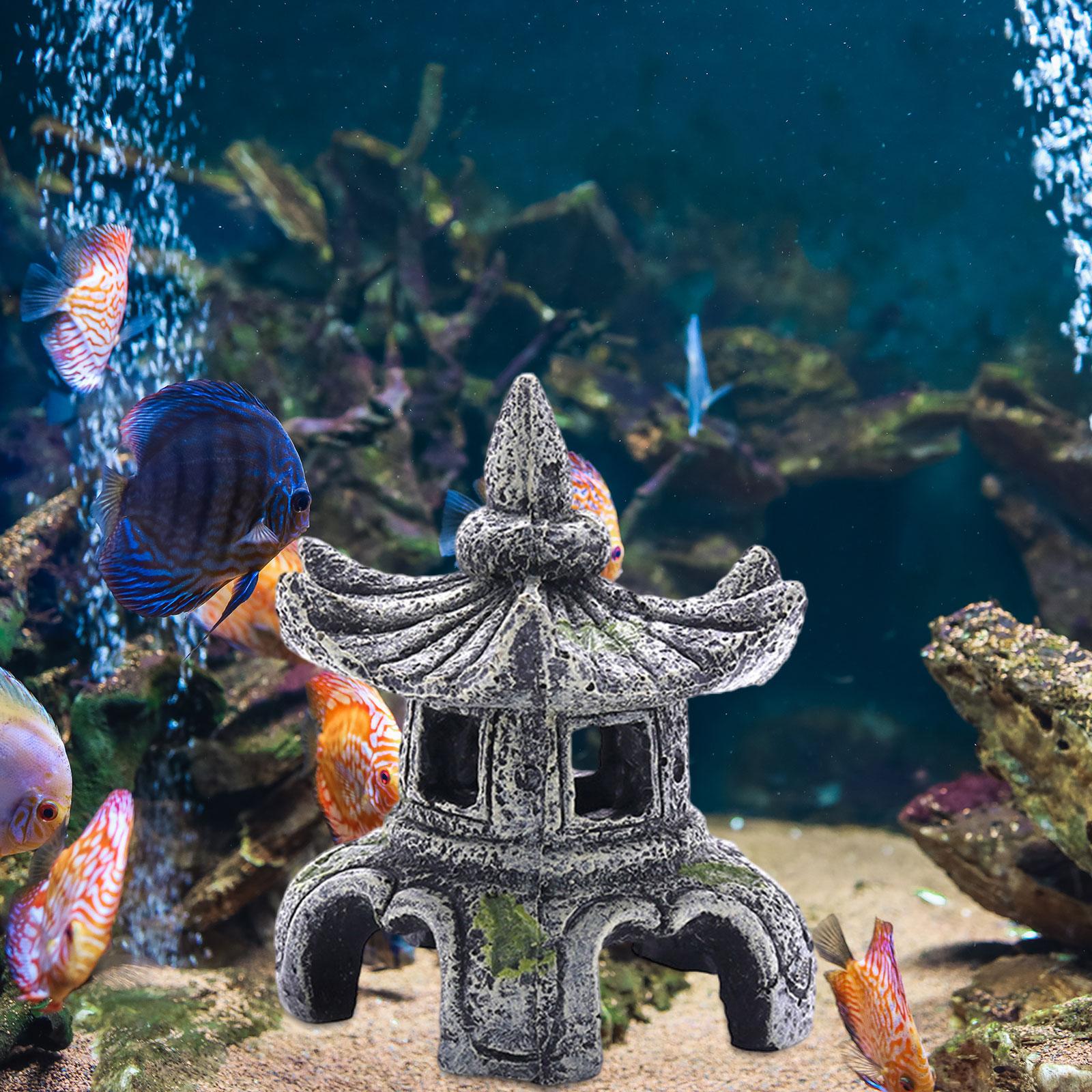Ornamento per acquario Accesso - Aquarium Fish For Sale Online recensione e prezzo