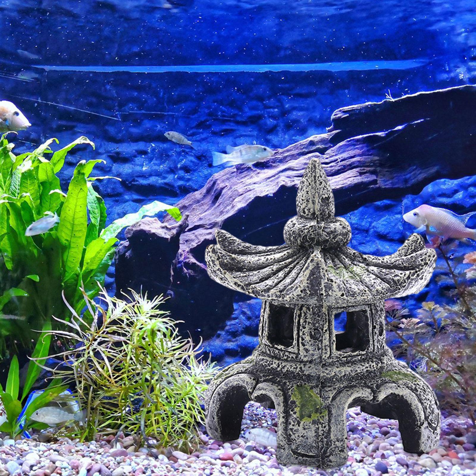 Ornamento per acquario Accesso - Aquarium Fish For Sale Online recensione e prezzo