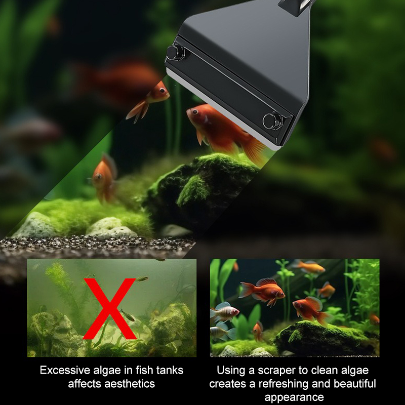 Rimozione delle alghe dell'acq - Algae Scraper Blade recensione e prezzo