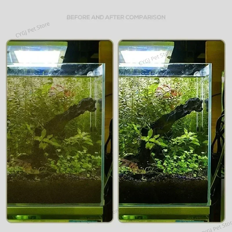 Strumento per la pulizia dell' - Algae Scraper Blade recensione e prezzo