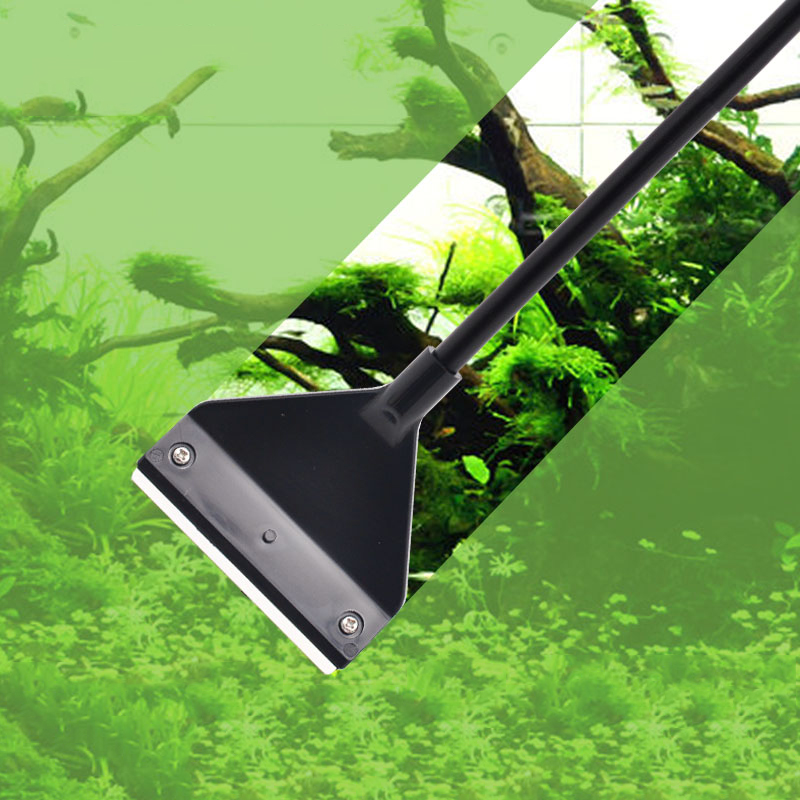 Rimozione delle alghe dell'acq - Algae Scraper Blade recensione e prezzo