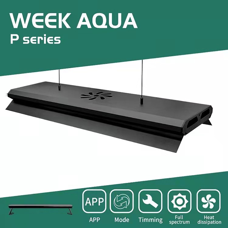 Controllo tramite APP, Altezza - Aquarium Fish Big Size recensione e prezzo