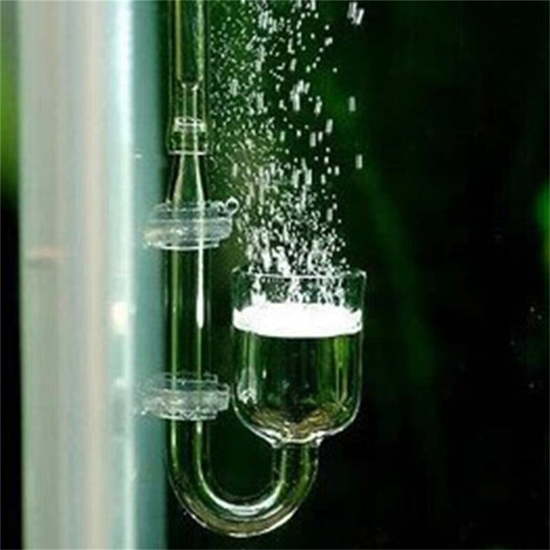 Diffusore di CO2 a Forma di U  - Aquarium Fish Discus recensione e prezzo