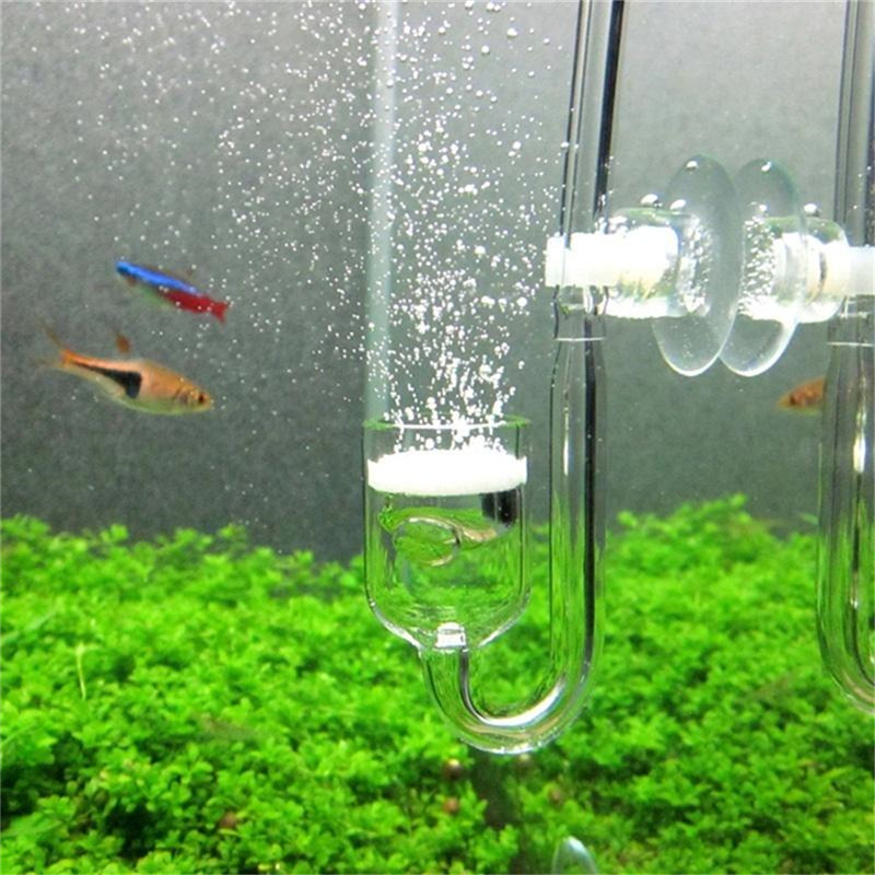 Diffusore di CO2 a Forma di U  - Aquarium Fish Discus recensione e prezzo