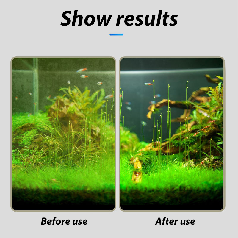 Spazzole per la pulizia delle  - Algae Scraper Blade recensione e prezzo