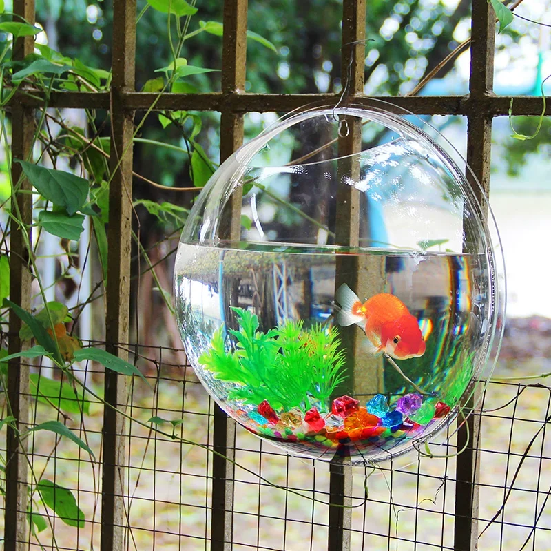 Pinsjar Ciotola per pesci in a - Aquarium Fish Background recensione e prezzo