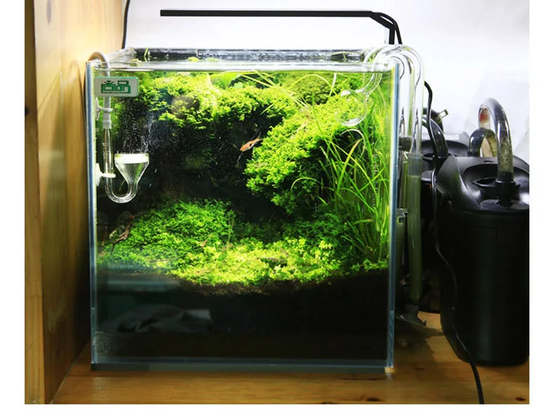 Chihiros Serie C Pianta in sti - Aquarium Fish Background recensione e prezzo