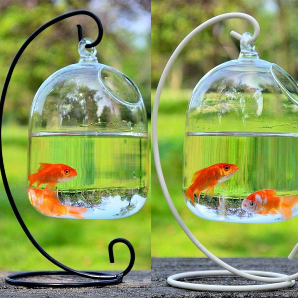 Decorazione da parete per acqu - Aquarium Fish Background recensione e prezzo