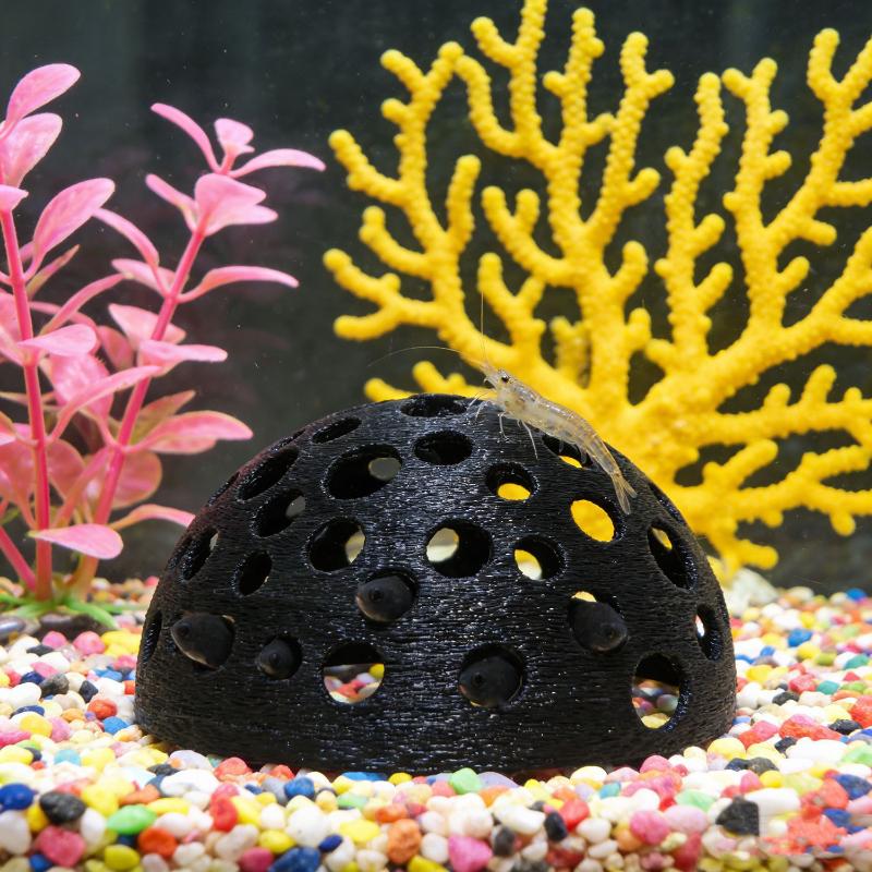 Caverna Nascosta per Acquario, - Aquarium Fish Games recensione e prezzo