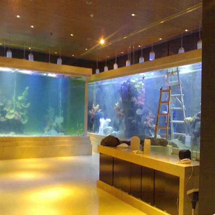 l Acrilico Big Fish Tank Retta - Aquarium Fish Big Size recensione e prezzo