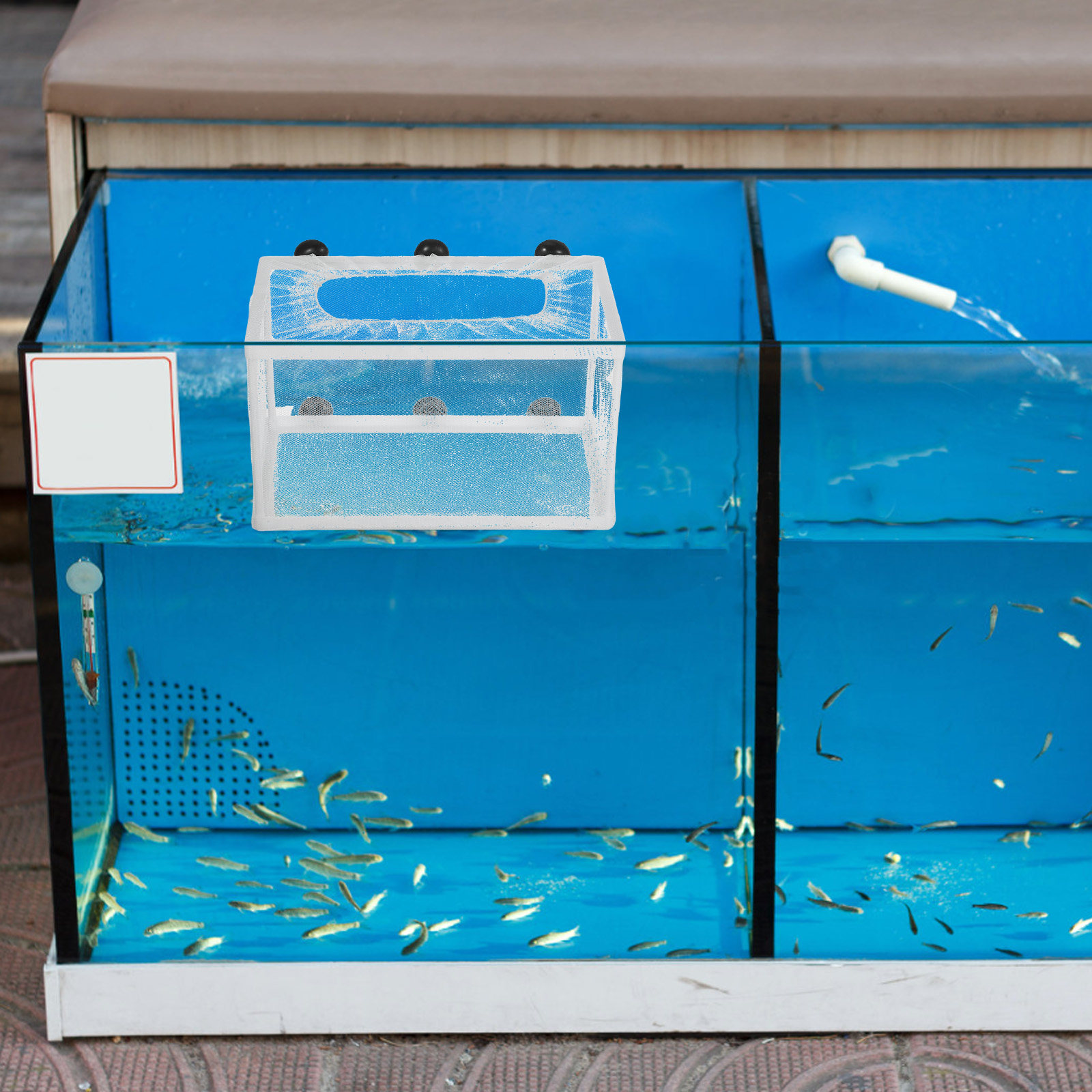 Rete per Pesci di Grandi Dimen - Aquarium Fish Big Size recensione e prezzo