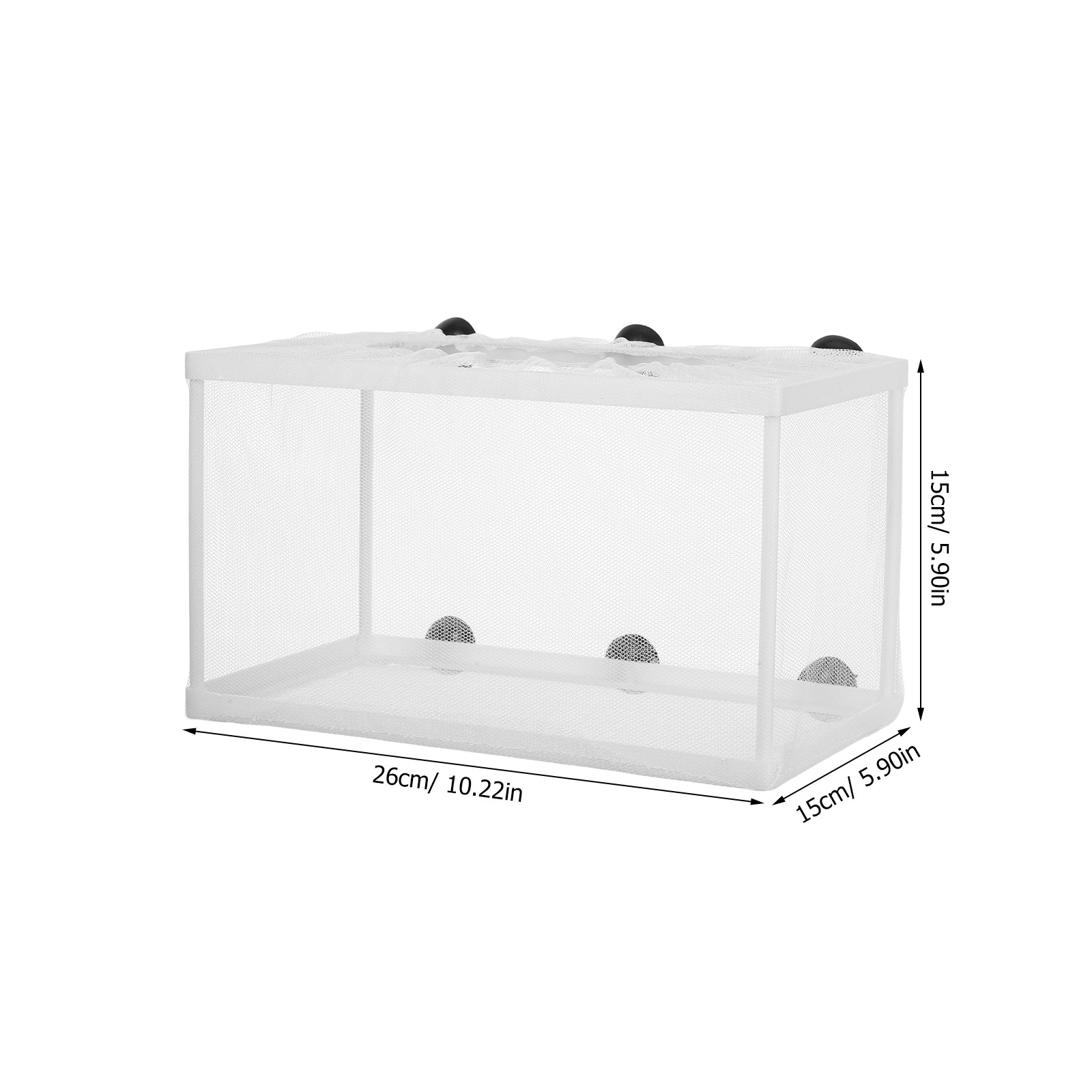 Rete per Pesci di Grandi Dimen - Aquarium Fish Big Size recensione e prezzo