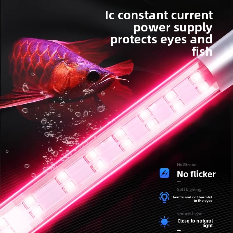 Luce LED a Spettro Completo pe - Aquarium Fish Discus recensione e prezzo