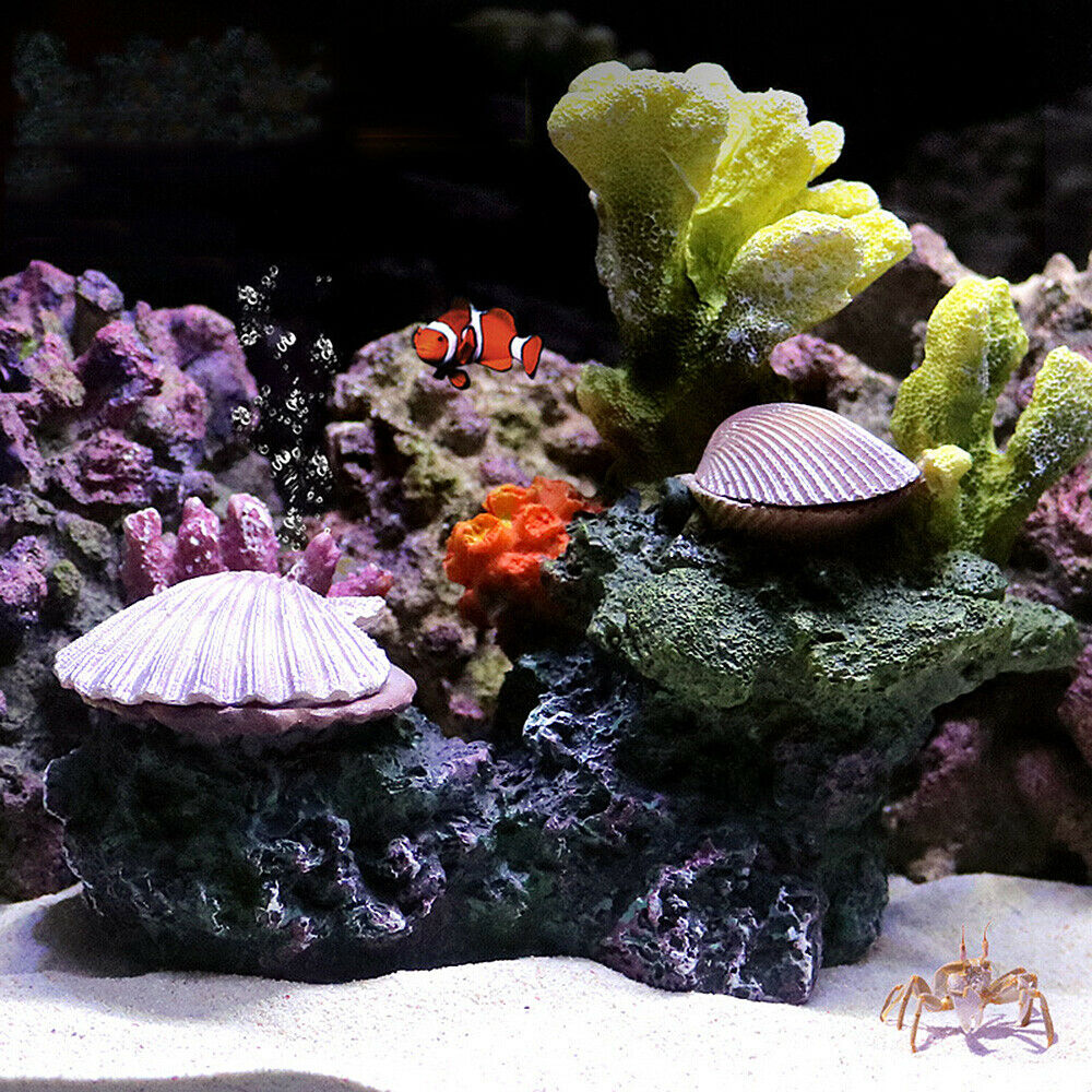 Nuova resina artificiale barri - Aquarium Fish Discus recensione e prezzo