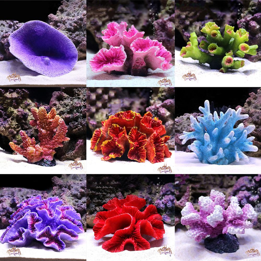 Nuova resina artificiale barri - Aquarium Fish Discus recensione e prezzo