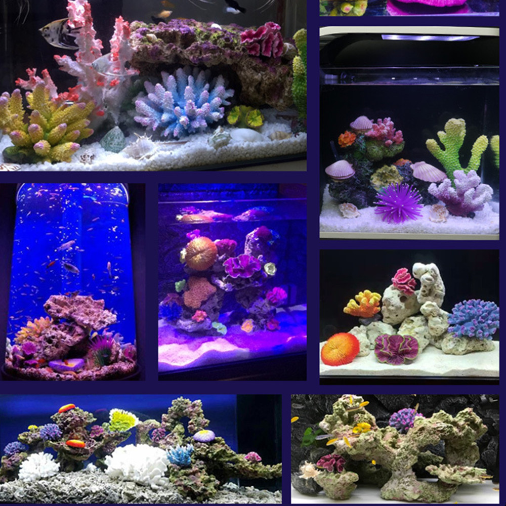 Nuova resina artificiale barri - Aquarium Fish Discus recensione e prezzo