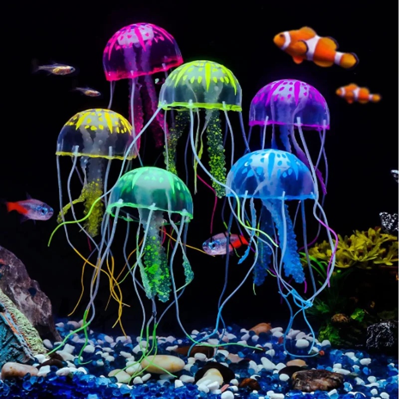 1/2 Pezzi Meduse Luminose in S - Aquarium Fish Discus recensione e prezzo