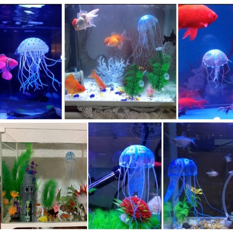 1/2 Pezzi Meduse Luminose in S - Aquarium Fish Discus recensione e prezzo