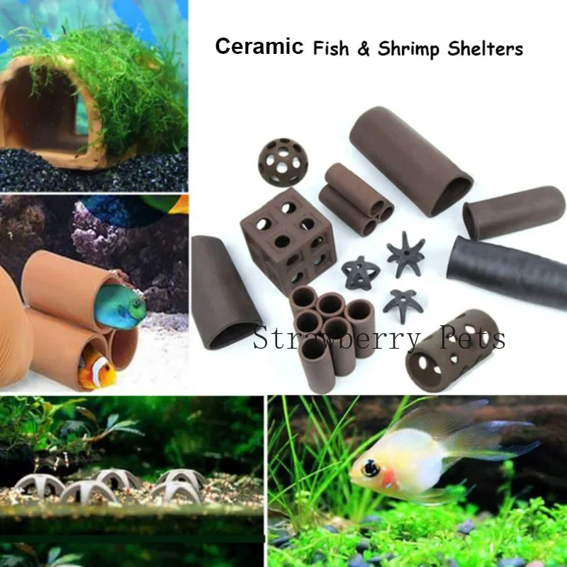 Decorazione per acquario in ce - Aquarium Fish Games recensione e prezzo