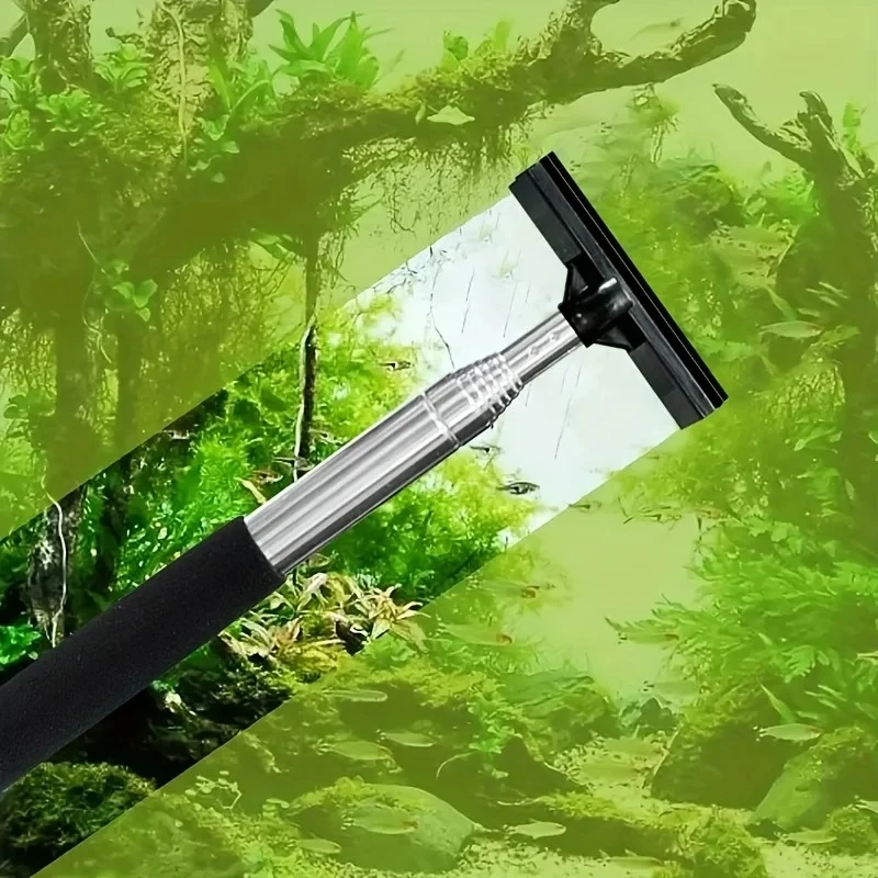 Spazzola raschietto telescopic - Algae Scraper Blade recensione e prezzo