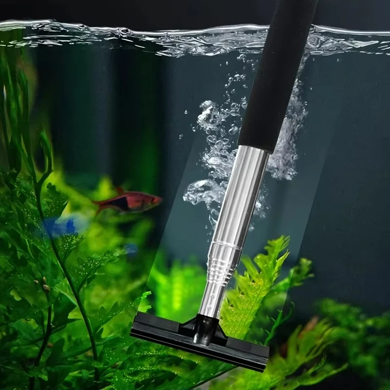 Spazzola raschietto telescopic - Algae Scraper Blade recensione e prezzo