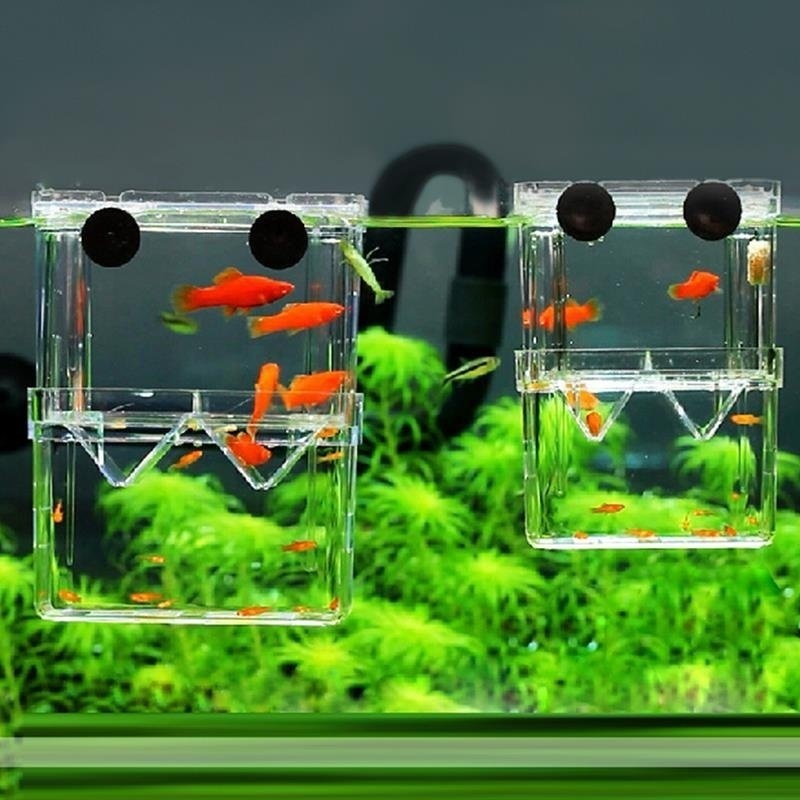 Acquario per pesci multifunzio - Aquarium Fish Background recensione e prezzo