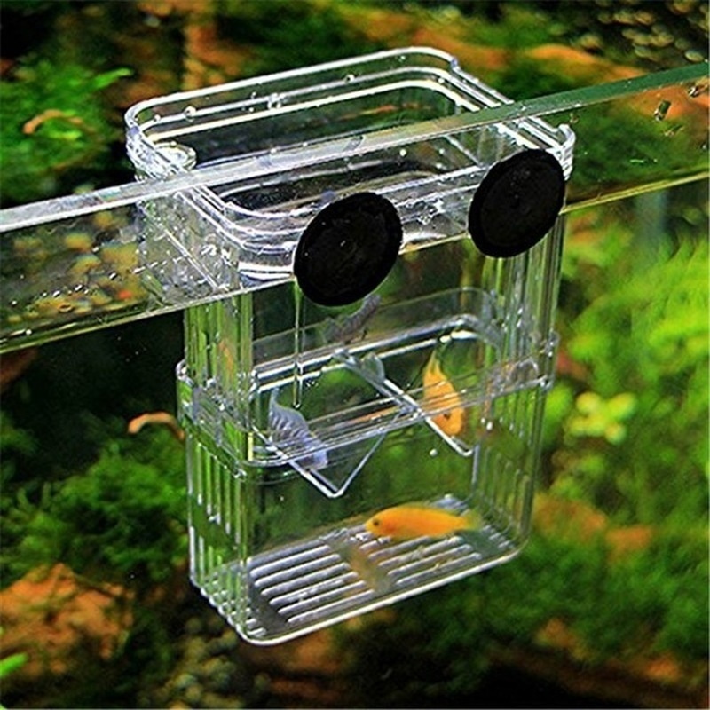 Acquario per pesci multifunzio - Aquarium Fish Background recensione e prezzo