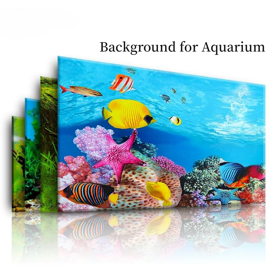 Sfondo Acquario Adesivo 3D Pos - Aquarium Fish For Sale Online recensione e prezzo