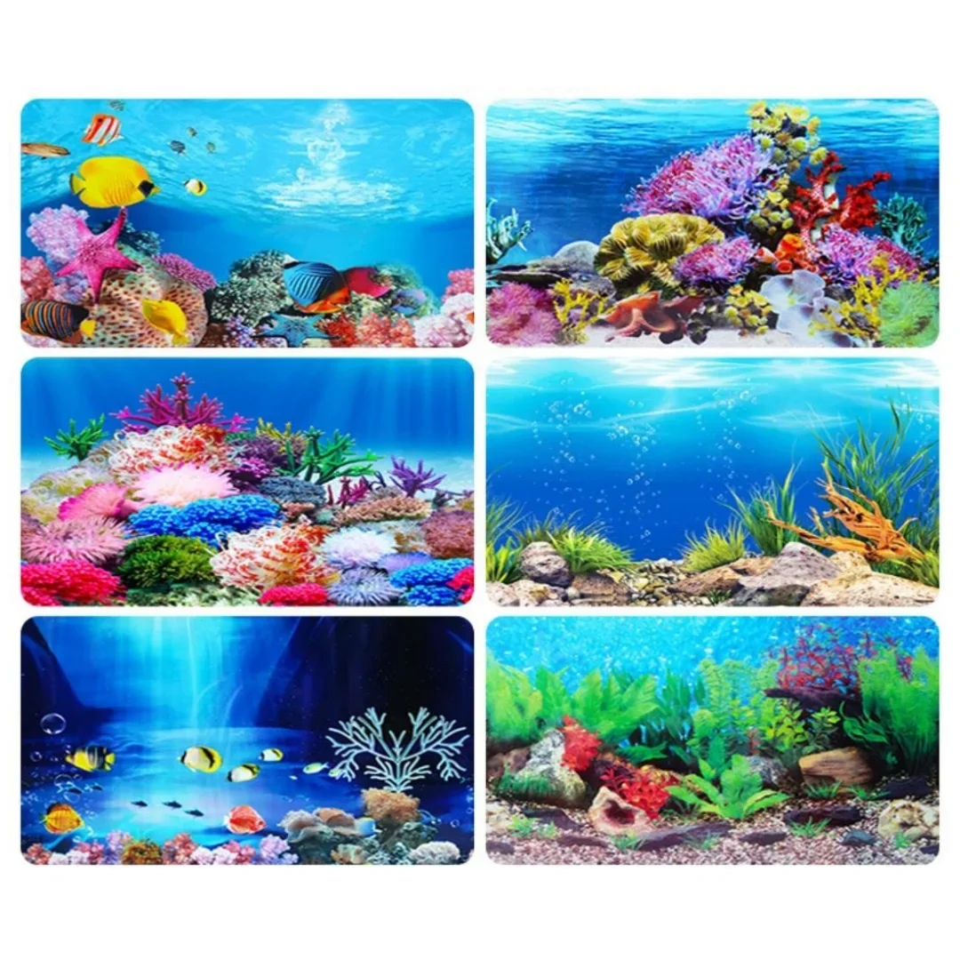 Sfondo Acquario Adesivo 3D Pos - Aquarium Fish For Sale Online recensione e prezzo