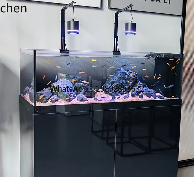 Stream Tank Native Wild Collec - Wild Aquarium Fish recensione e prezzo