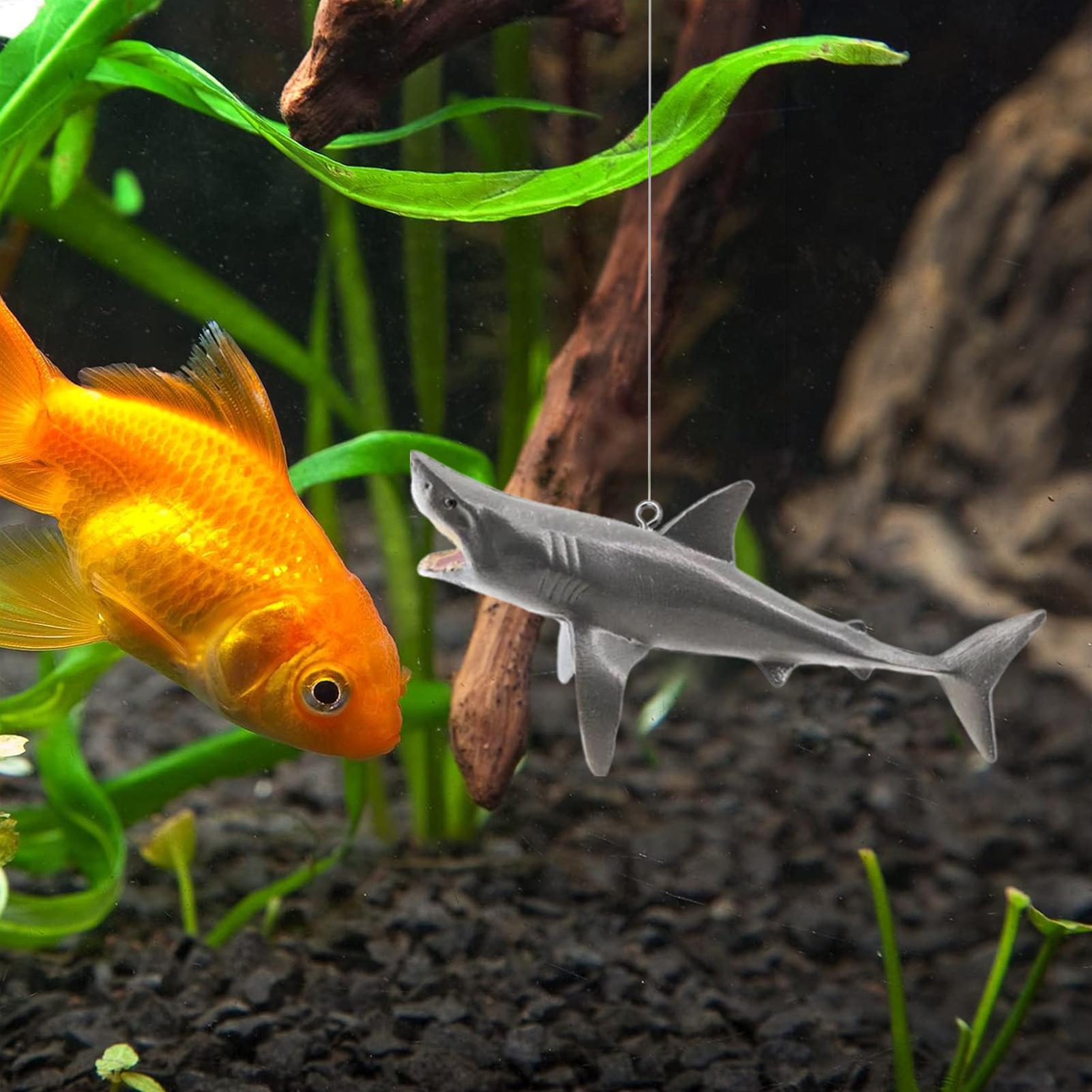 Decorazione del paesaggio dell - Aquarium Fish Games recensione e prezzo