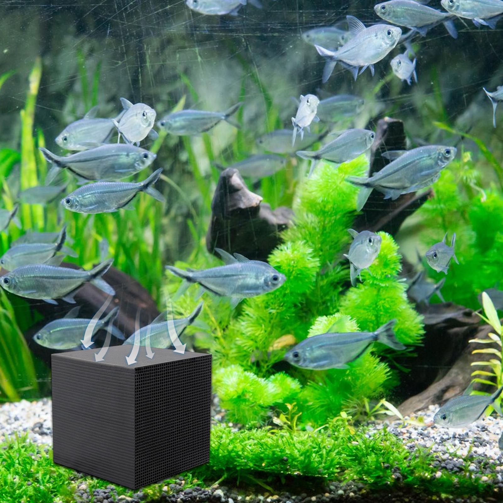 Cubo depuratore d'acqua per ac - Aquarium Fish Background recensione e prezzo