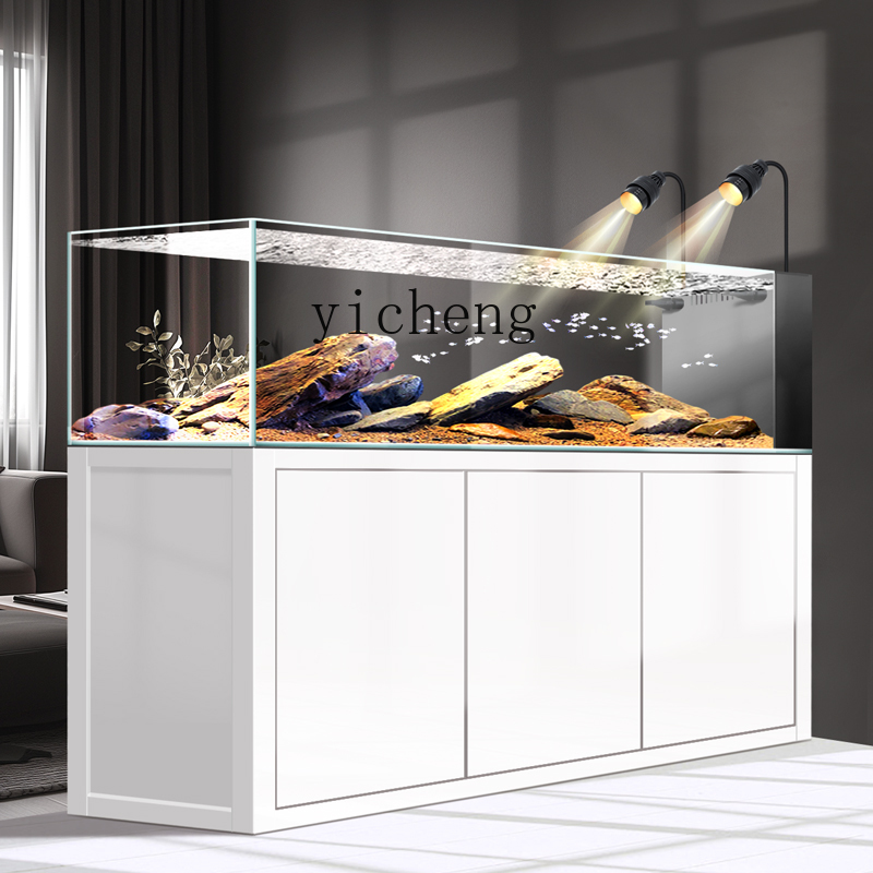 Acquario Y1 originale ecologic - Wild Aquarium Fish recensione e prezzo