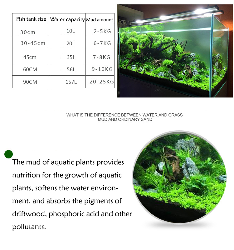 Acquario semi di piante terren - Aquarium Fish Background recensione e prezzo