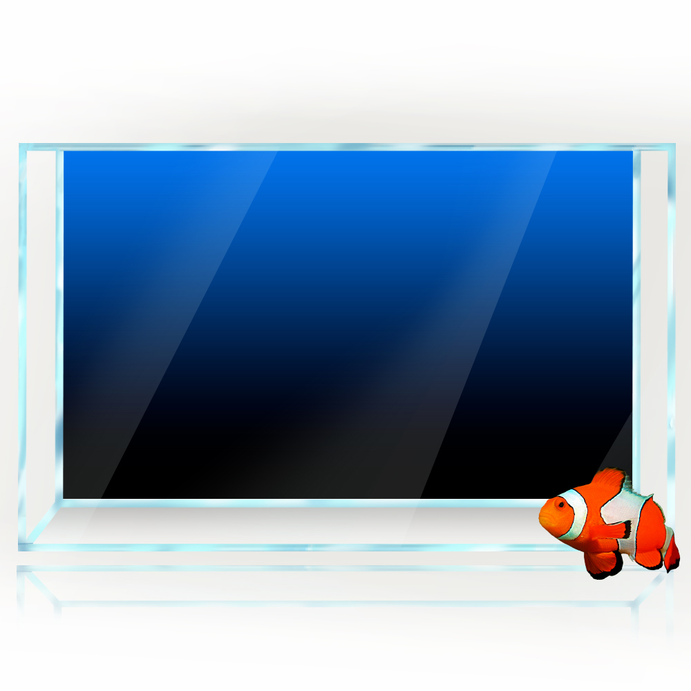 Adesivo per sfondo acquario Ne - Aquarium Fish Background recensione e prezzo