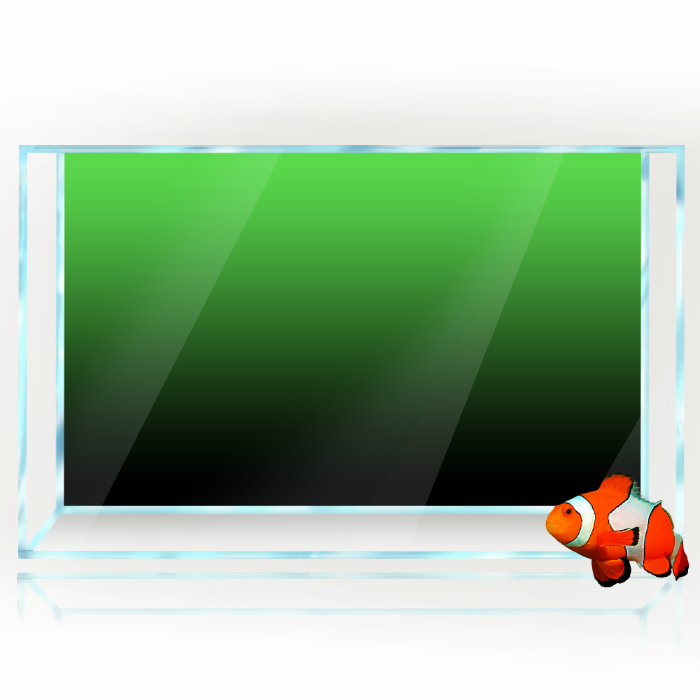 Adesivo per sfondo acquario Ne - Aquarium Fish Background recensione e prezzo