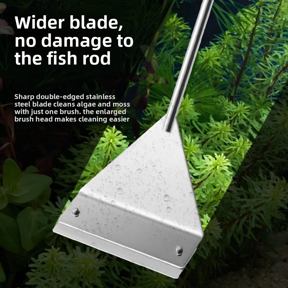Raschietto per alghe per acqua - Algae Scraper Blade recensione e prezzo