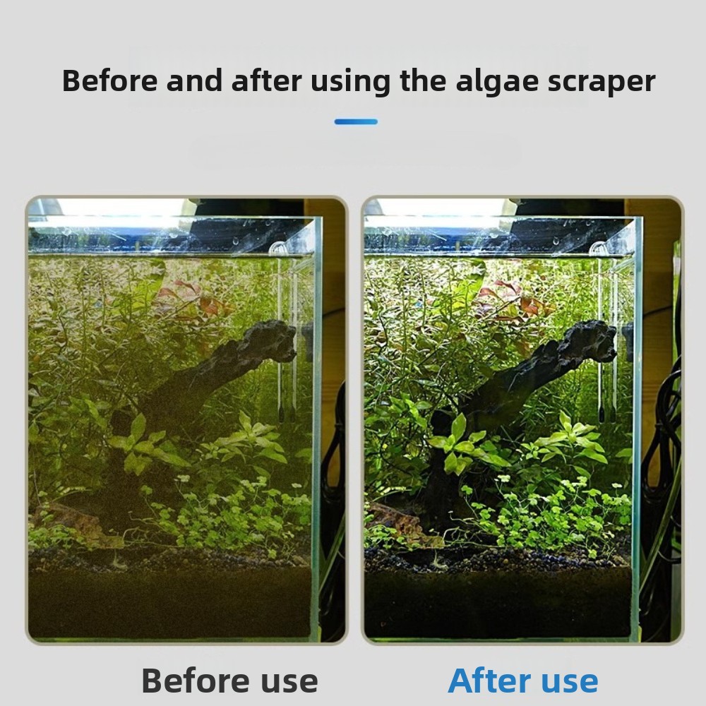Raschietto per alghe per acqua - Algae Scraper Blade recensione e prezzo