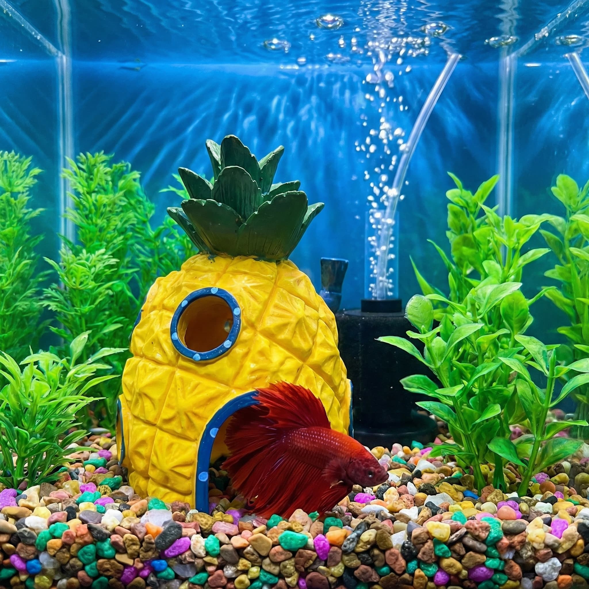 Decorazione per acquario Pinea - Aquarium Fish Games recensione e prezzo